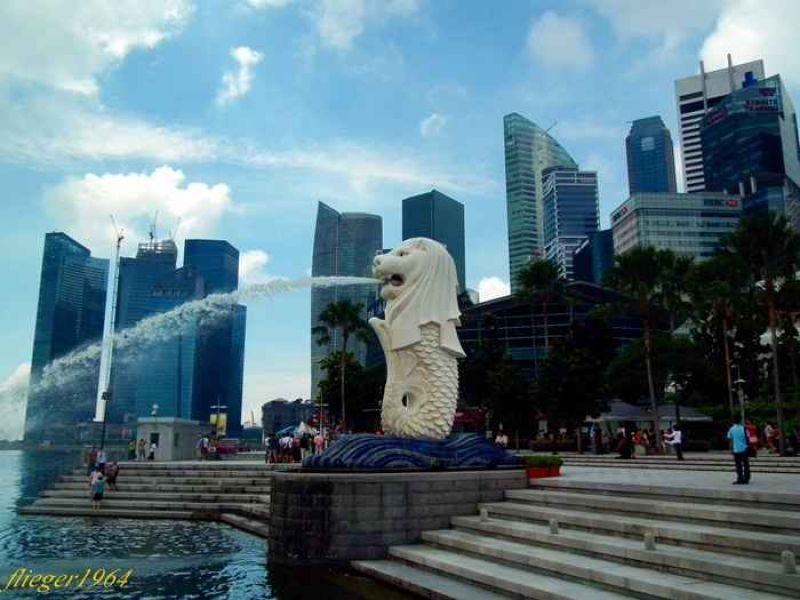der merlion von singapore.jpg